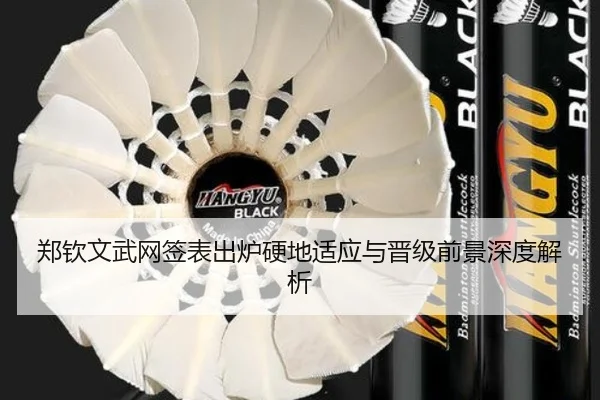 郑钦文武网签表出炉硬地适应与晋级前景深度解析